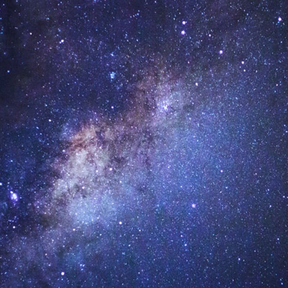 Meet your Posher, Liliana